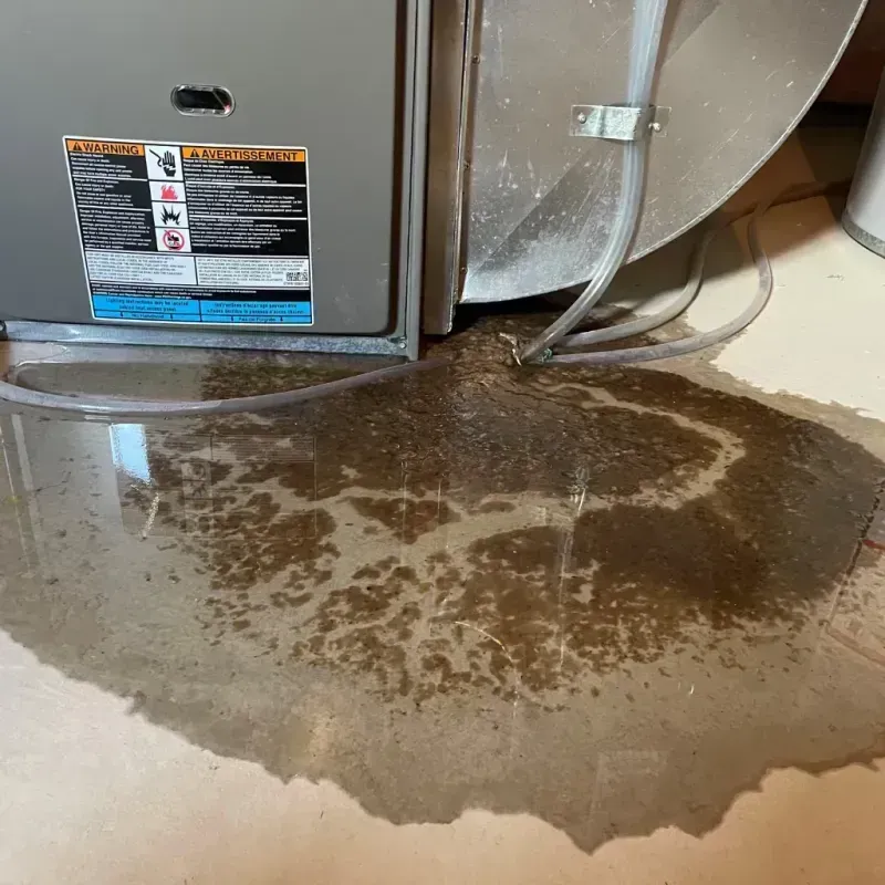 Appliance Leak Cleanup in Newton Falls, OH